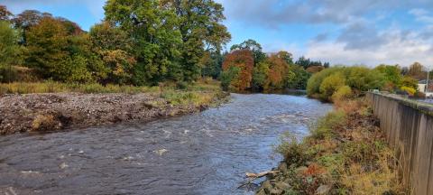 River South Esk, Brechin